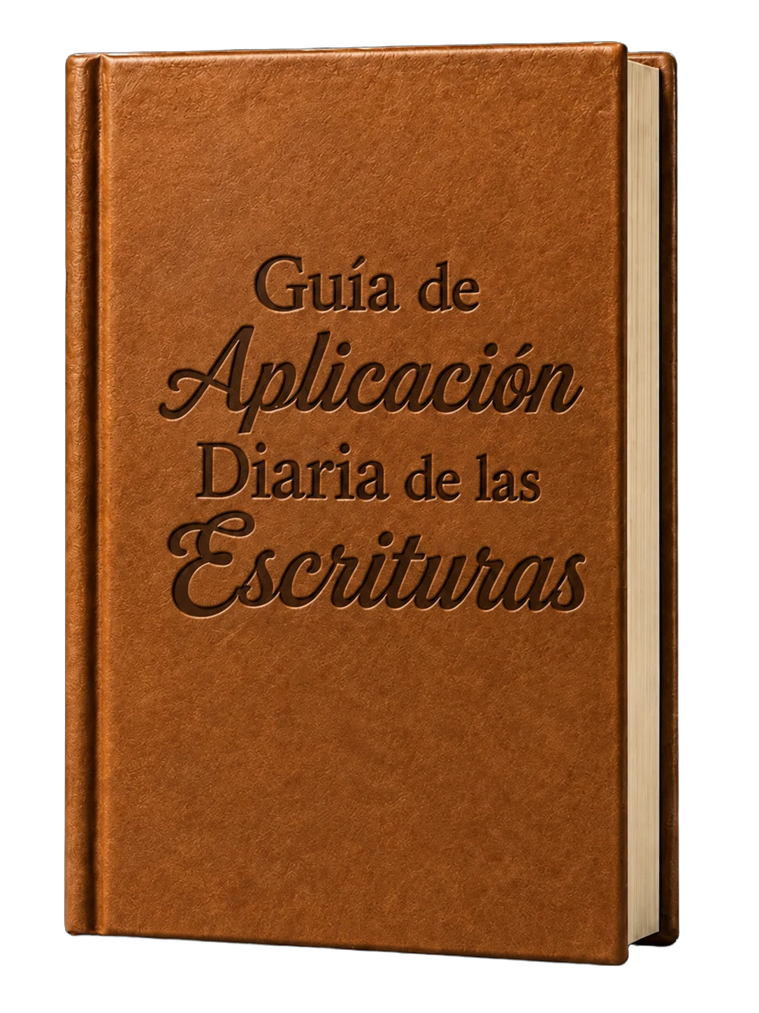 Bonus 3: Guida all'Applicazione Quotidiana delle Scritture